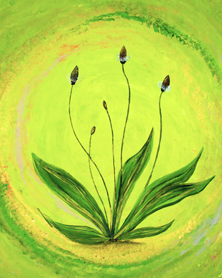 Mother Mary - Art Print