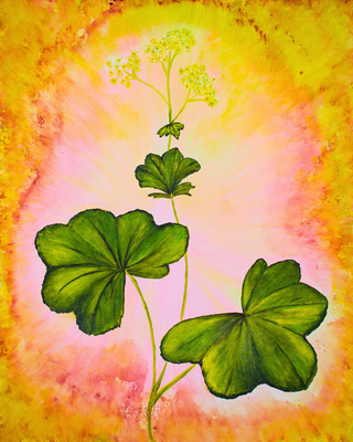 Mother Mary - Art Print