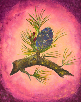 Zirbe – Seelenlicht der Alpenkräuter Kunstdruck