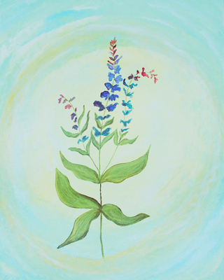 Wiesensalbei – Seelenlicht der Alpenkräuter Kunstdruck