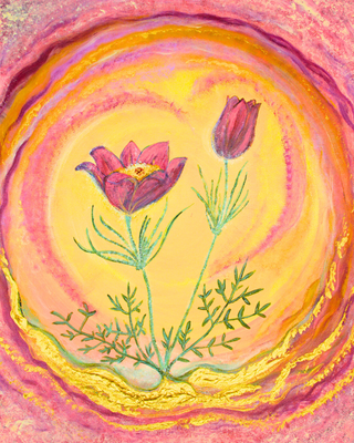 Küchenschelle – Seelenlicht der Alpenkräuter Kunstdruck