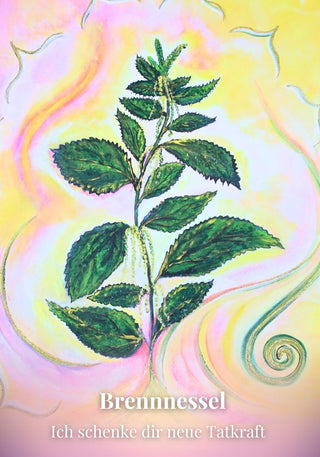 Kartenset Seelenlicht der Alpenkräuter