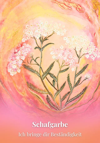 Kartenset Seelenlicht der Alpenkräuter