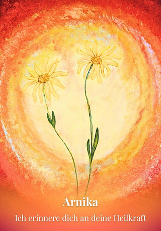 Kartenset Seelenlicht der Alpenkräuter