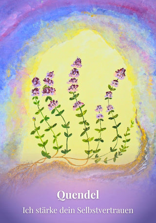 Kartenset Seelenlicht der Alpenkräuter