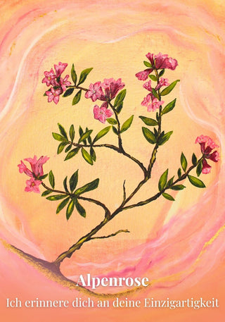 Kartenset Seelenlicht der Alpenkräuter