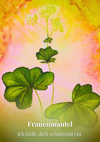 Kartenset Seelenlicht der Alpenkräuter