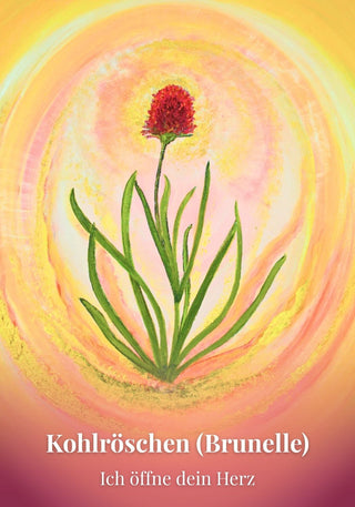 Kartenset Seelenlicht der Alpenkräuter