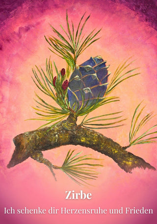 Kartenset Seelenlicht der Alpenkräuter