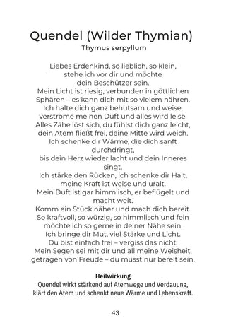 Kartenset Seelenlicht der Alpenkräuter