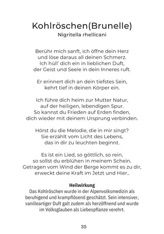 Kartenset Seelenlicht der Alpenkräuter