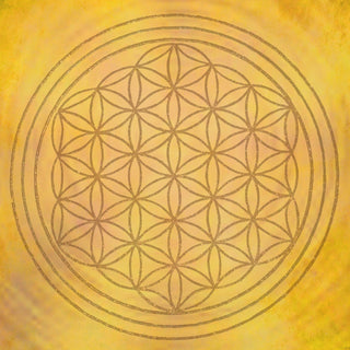 DIY FLOWER OF LIFE 
